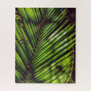 Palm Frond, Pine Needles and Shadows Puzzle