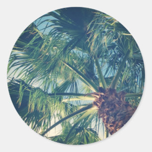 Palm Fronds Classic Round Sticker
