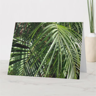 Palm Fronds Fine Art Nature Photography Card