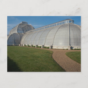 Palm House, Kew Gardens, London, England, U.K. Postcard