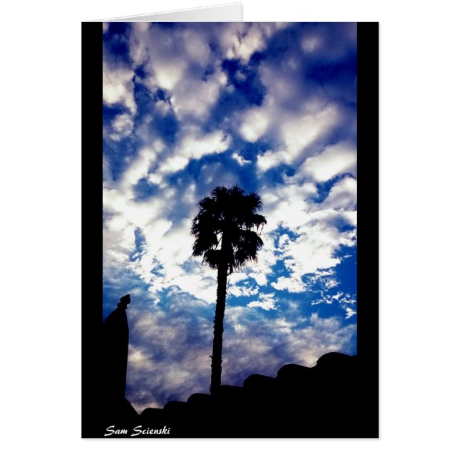 Palm in the Clouds (Front)