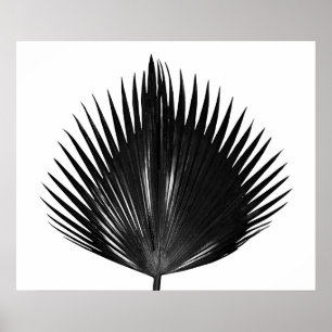 Palm Leaf Botanical Plant Black Painting Poster
