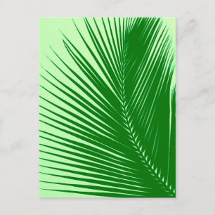 Palm leaf - emerald and lime green postcard