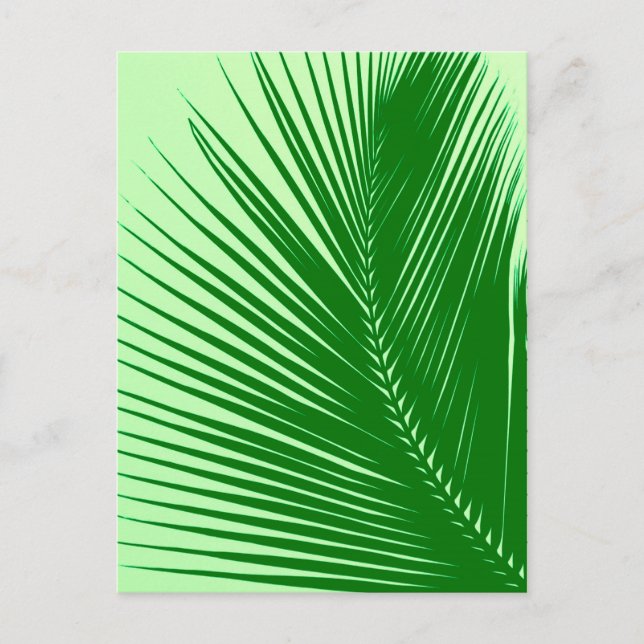 Palm leaf - emerald and lime green postcard (Front)