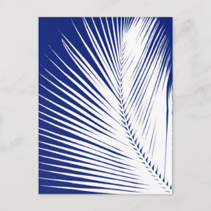 Palm leaf - navy blue and white postcard