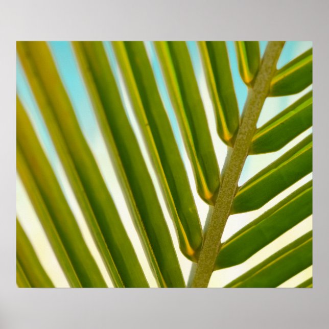 Palm Leaf Photo Poster (Front)