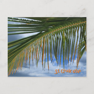 Palm Leaf Postcard