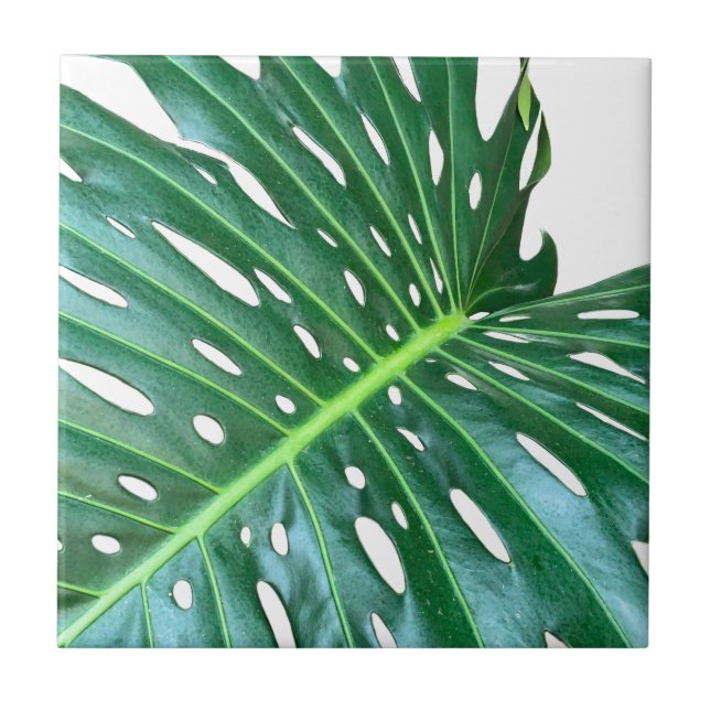 Palm Leaf, tropical foliage, jungle rainforest  Ceramic Tile (Front)