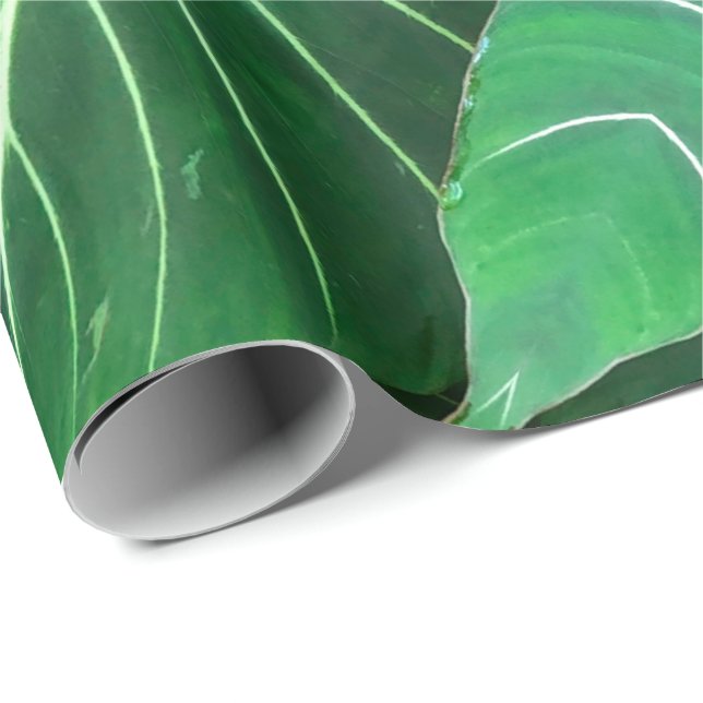 Palm Leaf, tropical foliage, jungle rainforest  Wrapping Paper (Roll Corner)
