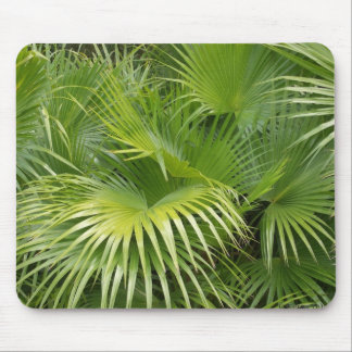 Palm Leaves Mouse Pad