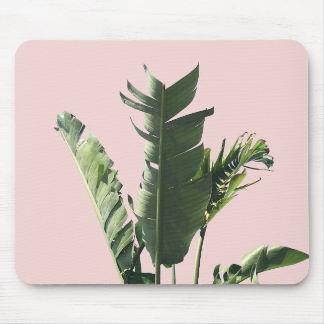 palm leaves on pink mouse pad (Front)