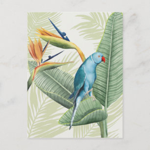 Palm Leaves With Blue Bird Postcard
