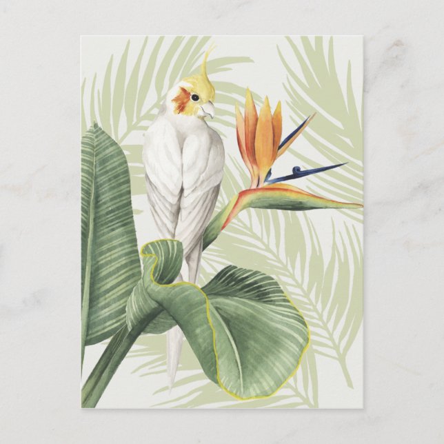 Palm Leaves With White Bird Postcard (Front)