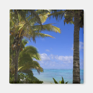 Palm lined beach Cook Islands 2 Magnet