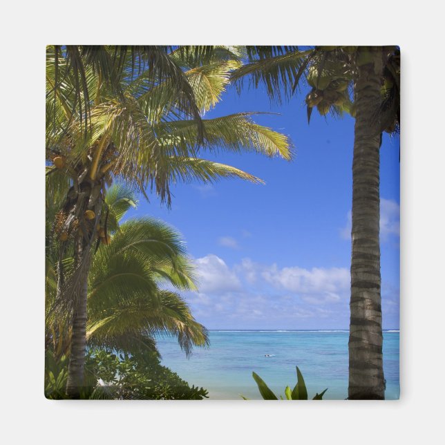 Palm lined beach Cook Islands 2 Magnet (Front)