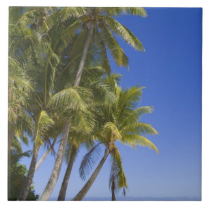 Palm lined beach Cook Islands 3 Ceramic Tile