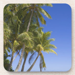 Palm lined beach Cook Islands 3 Coaster