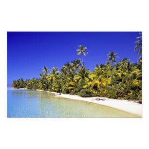 Palm lined beach Cook Islands 3 Photo Print