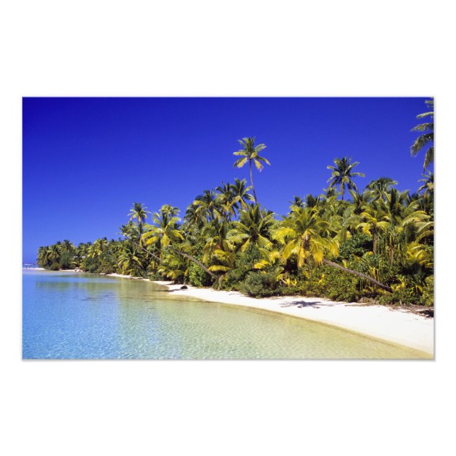 Palm lined beach Cook Islands 3 Photo Print (Front)