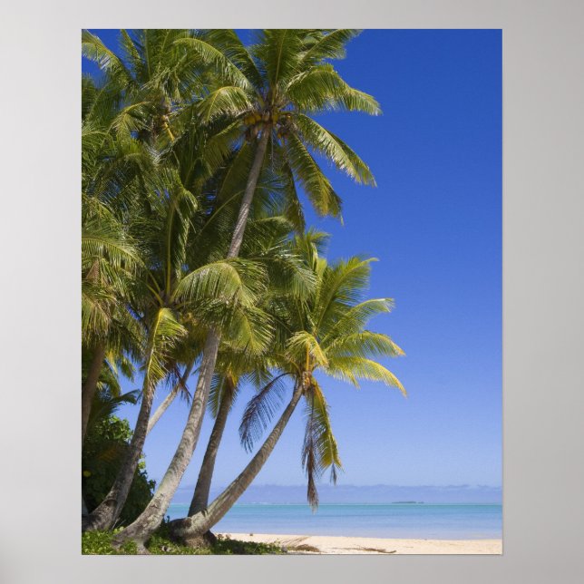 Palm lined beach Cook Islands 3 Poster (Front)