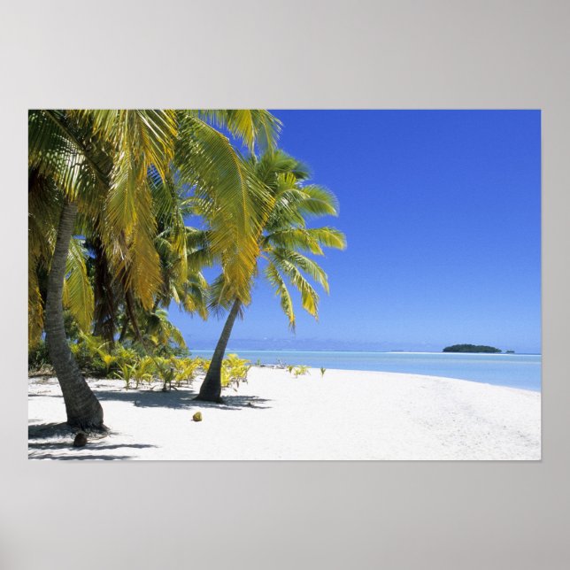 Palm lined beach Cook Islands 3 Poster (Front)