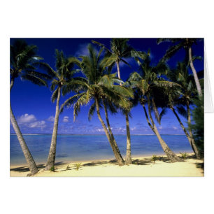 Palm lined beach Cook Islands 4