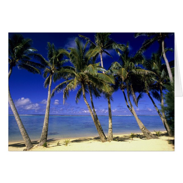 Palm lined beach Cook Islands 4 (Front Horizontal)
