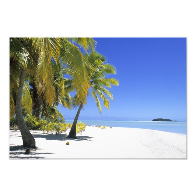 Palm lined beach Cook Islands 5 Photo Print (Front)