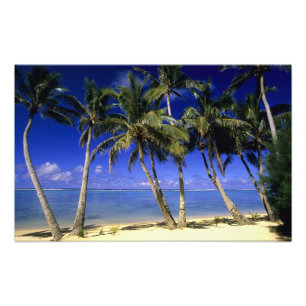 Palm lined beach Cook Islands 6 Photo Print