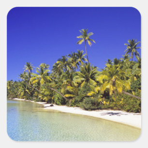 Palm lined beach Cook Islands 6 Square Sticker