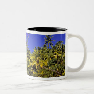 Palm lined beach Cook Islands 6 Two-Tone Coffee Mug