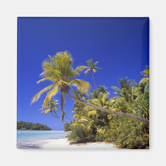 Palm lined beach Cook Islands 7 Magnet (Front)