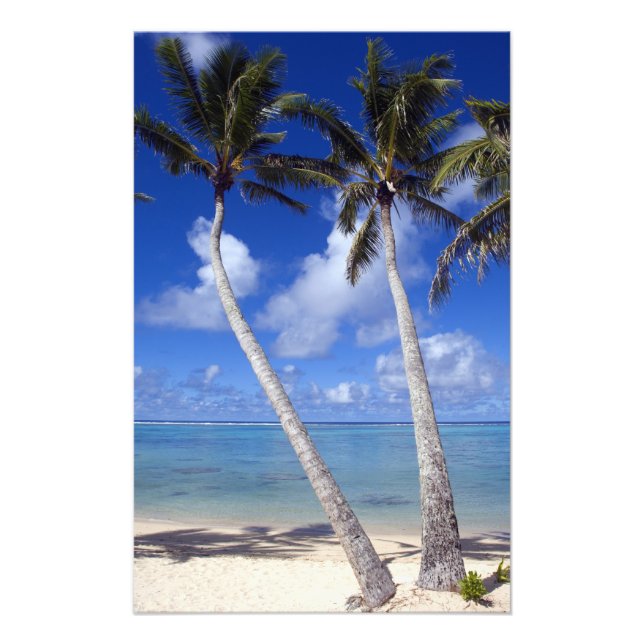 Palm lined beach Cook Islands Photo Print (Front)