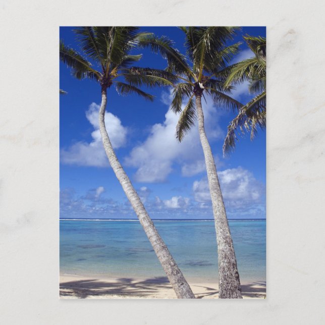 Palm lined beach Cook Islands Postcard (Front)