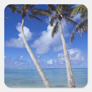 Palm lined beach Cook Islands Square Sticker