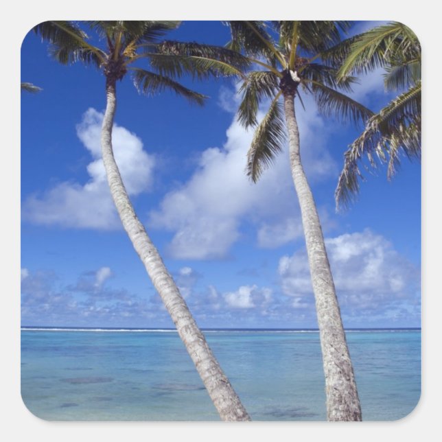 Palm lined beach Cook Islands Square Sticker (Front)
