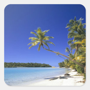 Palm lined beach Cook Islands Square Sticker