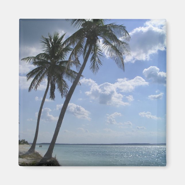 Palm Magnet 2 (Front)