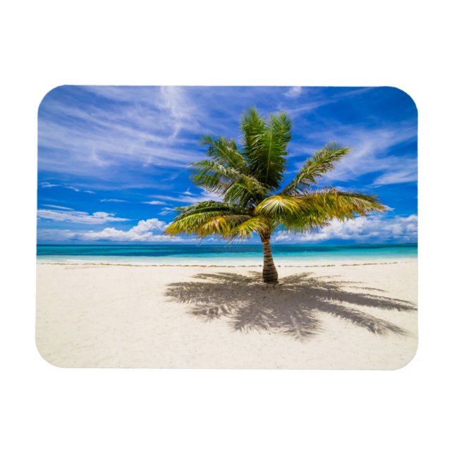 Palm on White Sand Beach Magnet (Horizontal)