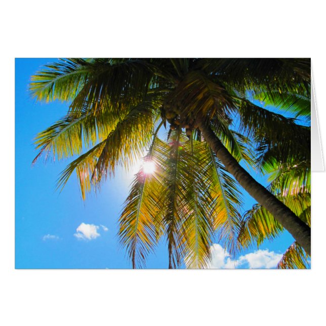 Palm Paradise Blue Sky Sunshine (Front Horizontal)