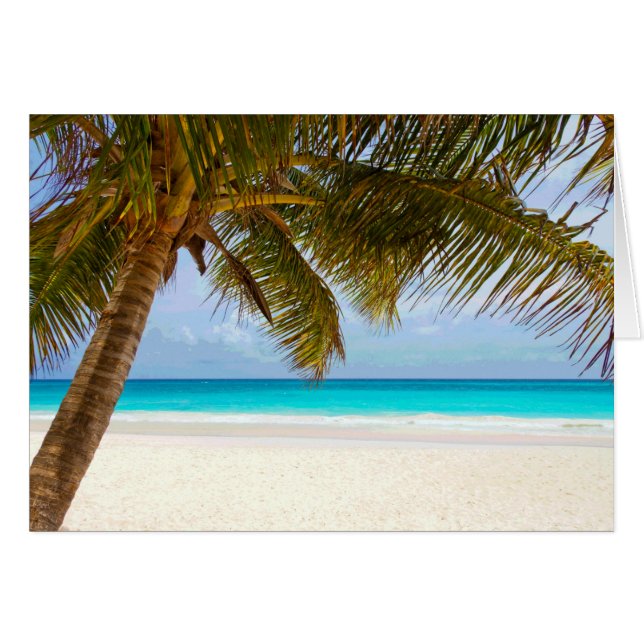 Palm Paradise Blue Sky Sunshine (Front Horizontal)