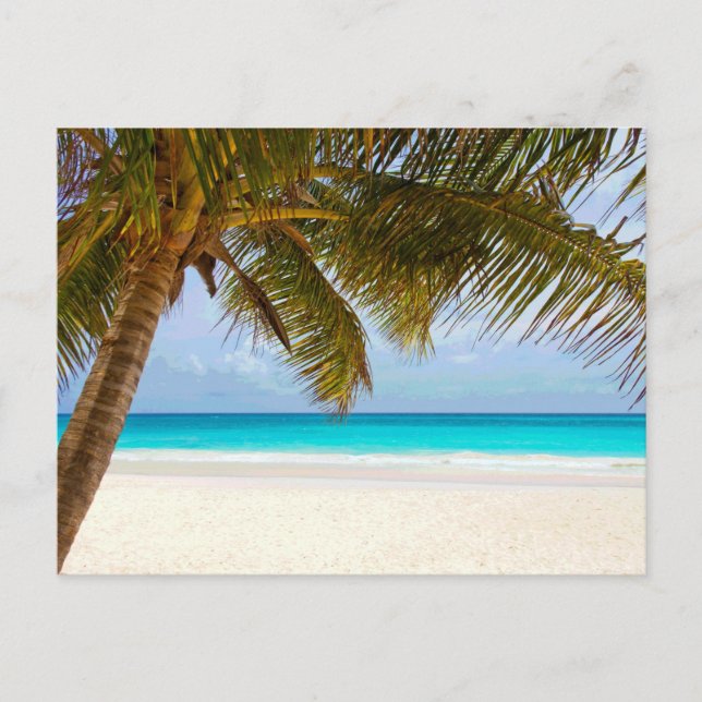 Palm Paradise Blue Sky Sunshine Postcard (Front)