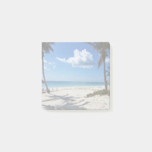 Palm Shadows & Open Skies Post-it Notes