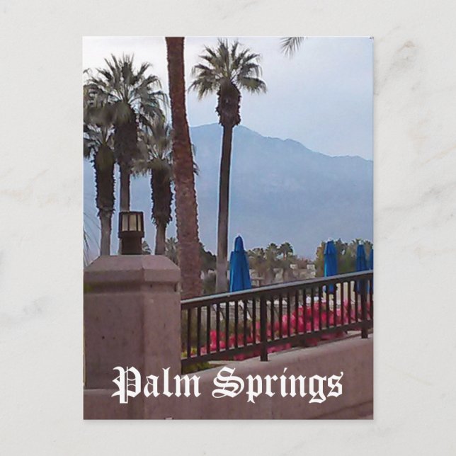 Palm Springs California Postcard (Front)