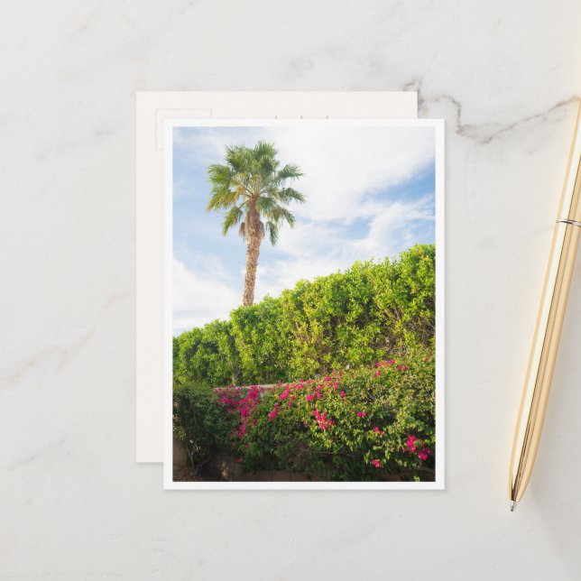 Palm Springs Desert Florals & Palm Tree Postcard (Front/Back In Situ)
