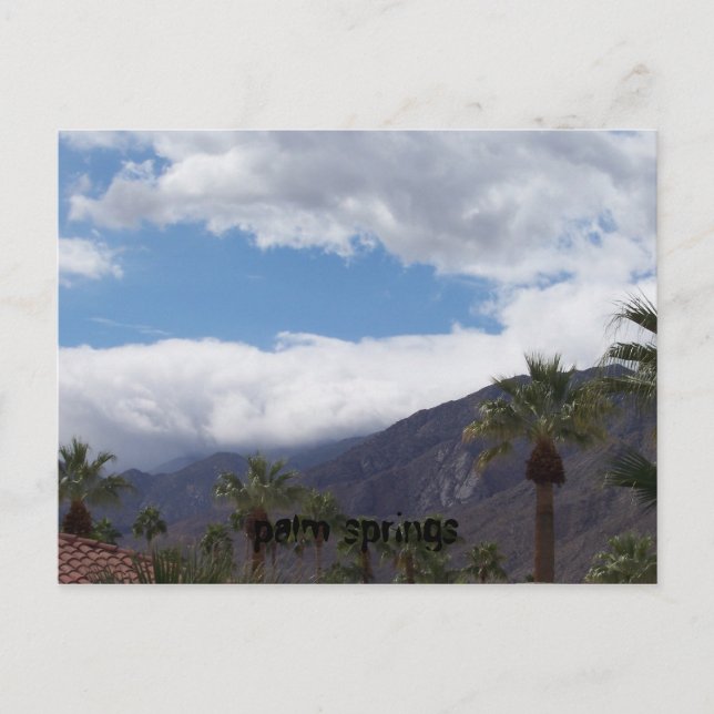 palm springs postcard (Front)