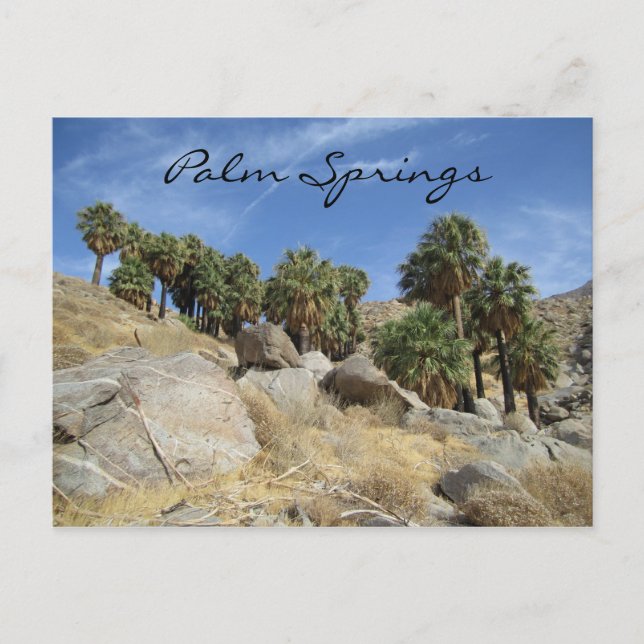 Palm Springs Postcard (Front)