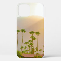 Palm Springs sunset day with mountains and palm tr
