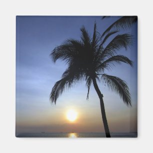 palm sunset magnet