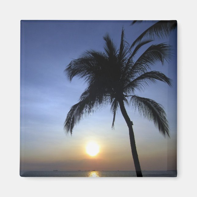 palm sunset magnet (Front)